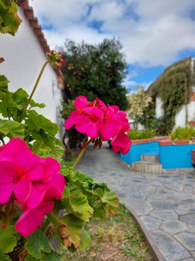 Coya Hostel サルタ エクステリア 写真